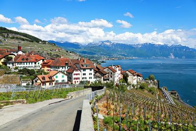 Rivaz, lavaux. switzerland