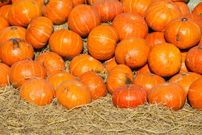 Full frame shot of pumpkins