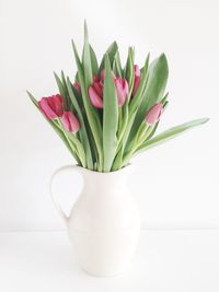 Close-up of tulip flower vase against white background