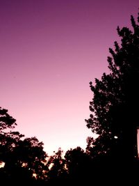 Low angle view of silhouette trees against sky at sunset