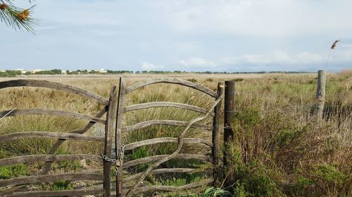 Scenic view of grassy field against cloudy sky