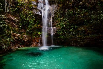 Scenic view of waterfall in forest