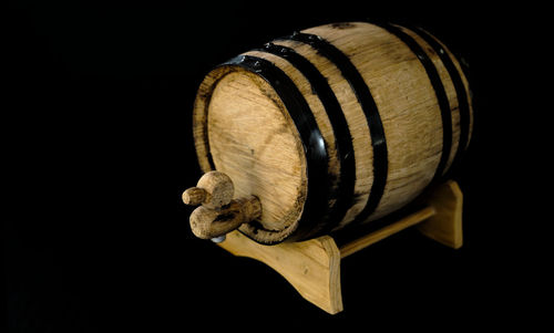 Close-up of shell on black background