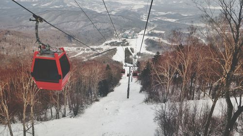 Snow covered landscape