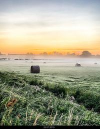 Scenic view of agricultural field against sky during sunset