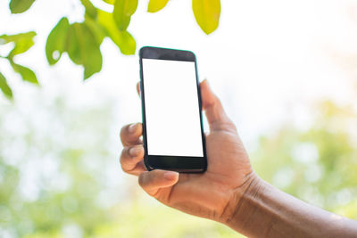 Close-up of cropped hand holding smart phone