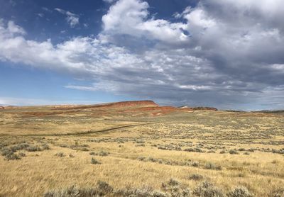 Scenic view of landscape against sky