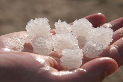 Close-up of hand holding ice cream