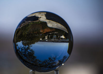 Reflection of trees on water