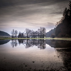 Reflection of trees in lake against sky