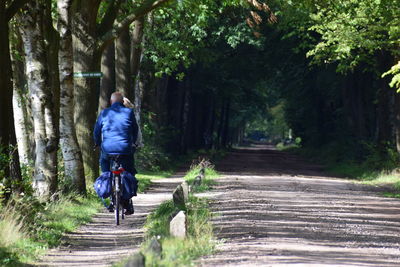 Rear view of man walking on footpath amidst trees