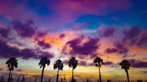 Low angle view of silhouette trees against sky during sunset