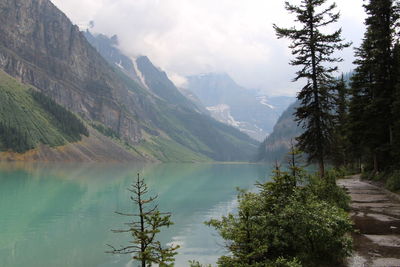 Dramatic view of lake louise, ab, canada. glacier fed with natural green/blue water.