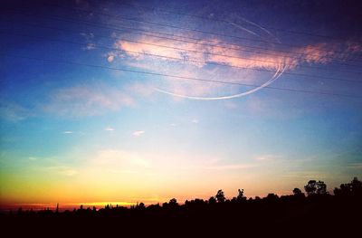 Silhouette of trees at sunset