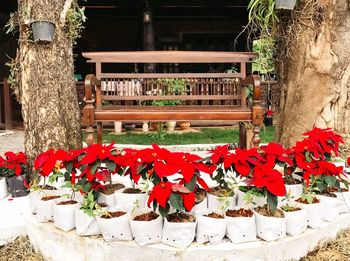 Red flowers in temple