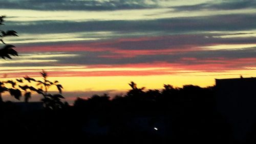 Silhouette plants against dramatic sky during sunset