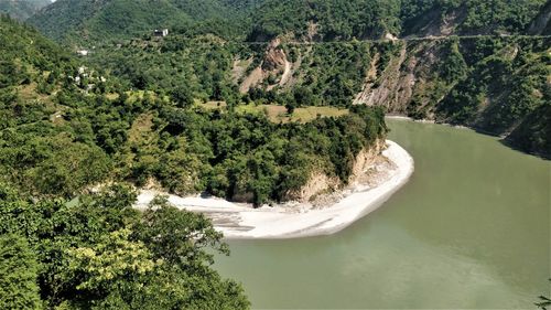 High angle view of river amidst trees