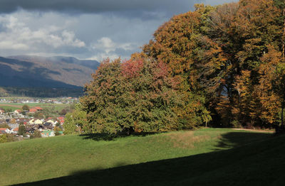 High angle view of trees and buildings against sky