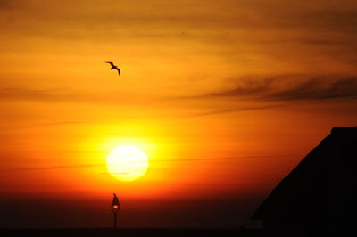 Silhouette bird flying against sky during sunset