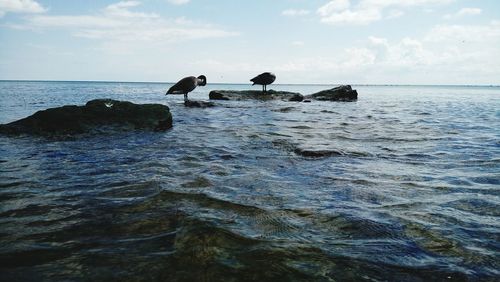 Scenic view of sea against sky