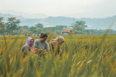 Rear view of men in field