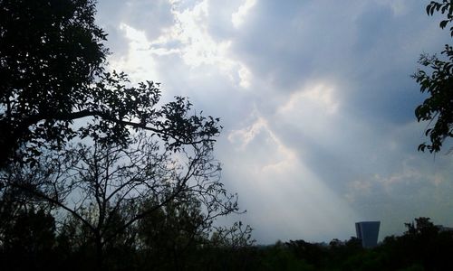 Low angle view of trees against cloudy sky