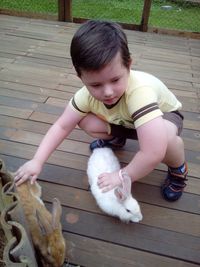 Cute boy playing with cat