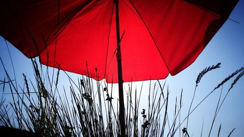 Low angle view of red umbrella against clear sky