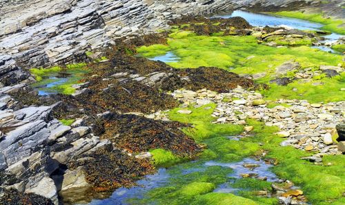 Scenic view of river by mountains
