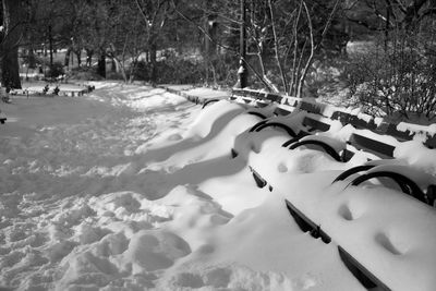 Scenic view of snow covered trees