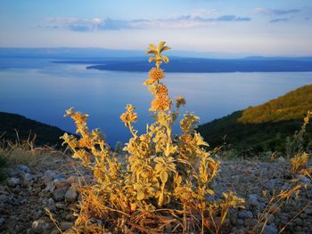 Scenic view of sea and mountains against sky