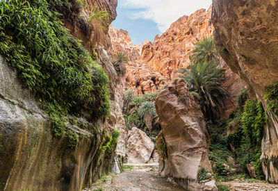 Rock formations in forest