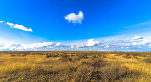 Scenic view of landscape against blue sky