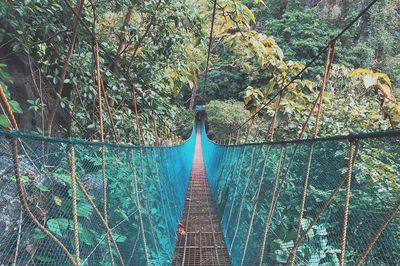 Panoramic shot of footbridge in forest