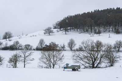 Trees on snow covered field against sky