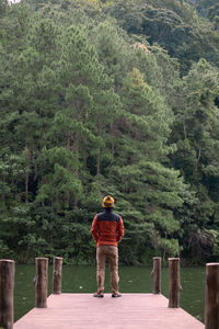 Rear view of man standing by trees against plants