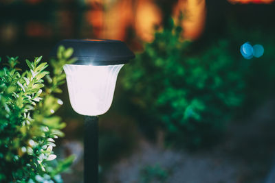 Close-up of illuminated light bulb in yard