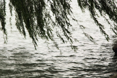 Close-up of rippled water in lake