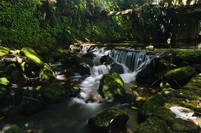 Stream flowing through rocks in forest