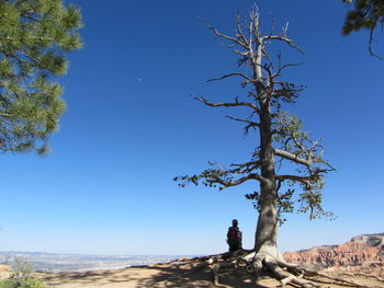 Man by tree against blue sky