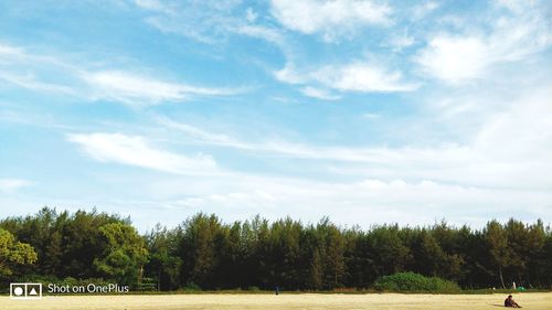 Trees growing on field against sky