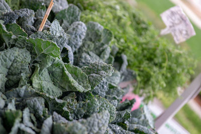 Close-up of vegetables in market stall