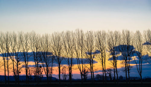 Silhouette bare trees by lake against sky during sunset