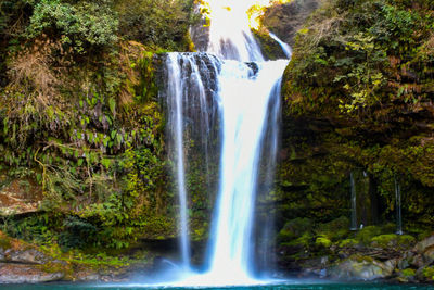Scenic view of waterfall in forest