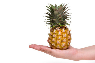 Close-up of hand holding fruit against white background