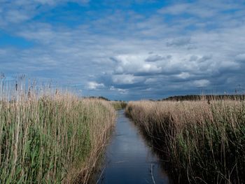 Scenic view of land against sky