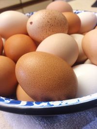 Close-up of eggs