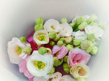 High angle view of pink roses on table