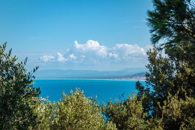 Scenic view of sea against blue sky