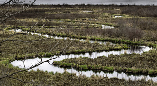 Scenic view of lake